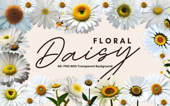 Daisy Floral Clipart Bundle: A Versatile Resource for Creative Projects