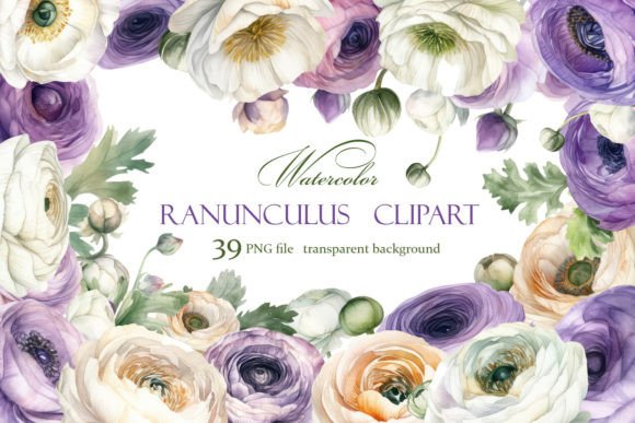 Ranunculus Clipart, Watercolor Floral: A Strategic Design Asset for Creative Professionals